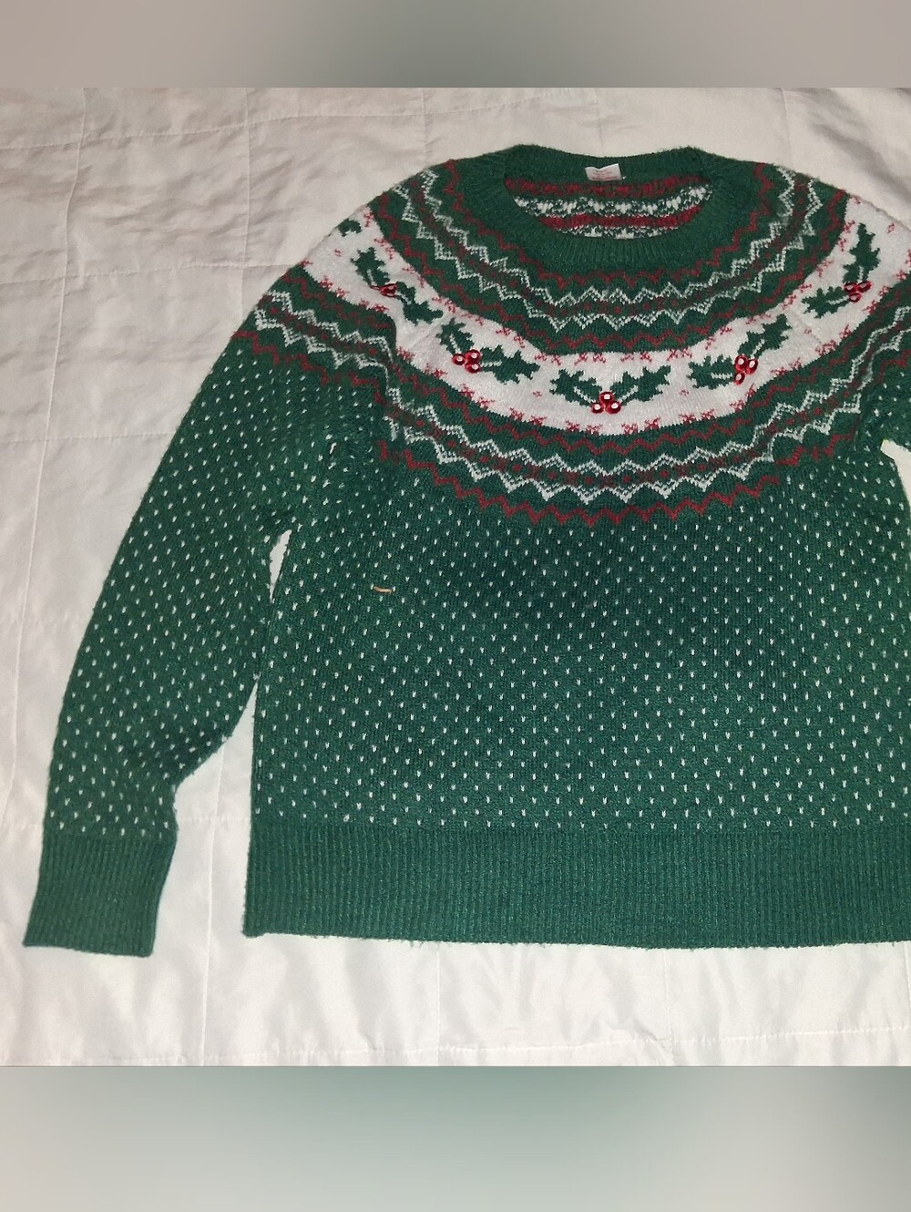 Holiday Time Womwn's Fair Isle Holly Berry Christmas Pullover Sweater - Medium